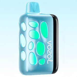 Vozol Rave 40000 Blueberry Watermelon Flavor (Copy)