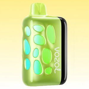 Vozol Rave 40000 Cool Mint Flavor (Copy)