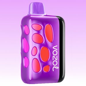 Vozol Rave 40000 Double Apple Flavor (Copy)