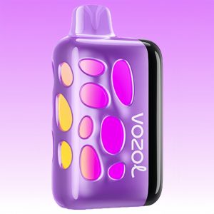 Vozol Rave 40000 Grape Ice Vape