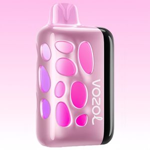 Vozol Rave 40000 Mango Peach Vape (Copy)