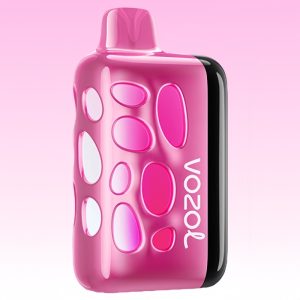 Vozol Rave 40000 Strawberry Mango Flavor (Copy)