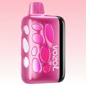Vozol Rave 40000 Strawberry Watermelon Vape (Copy)