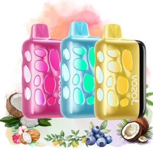 vozol rave 40000 puffs